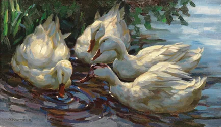Four Ducks at the Pond